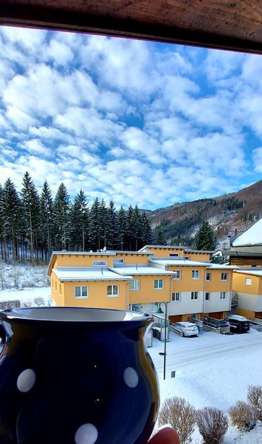 Ferienwohnung Bergspass Gaming Εξωτερικό φωτογραφία