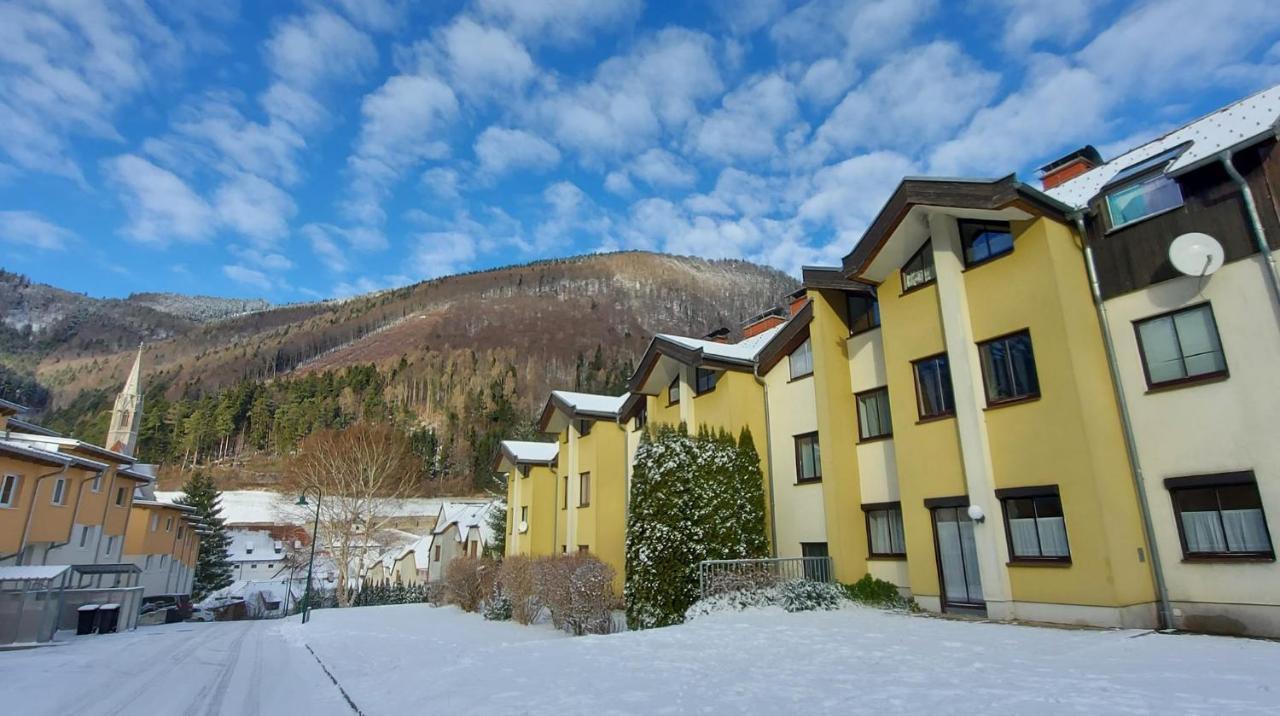 Ferienwohnung Bergspass Gaming Εξωτερικό φωτογραφία