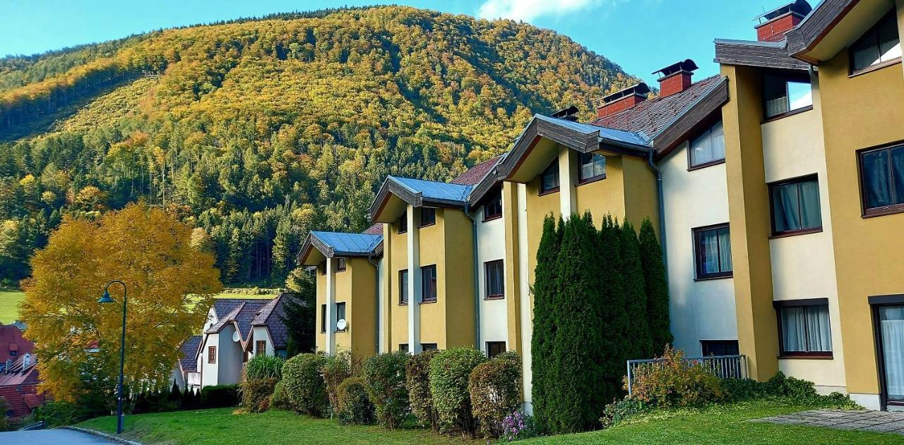 Ferienwohnung Bergspass Gaming Εξωτερικό φωτογραφία
