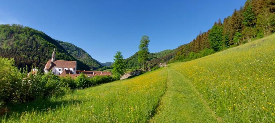 Ferienwohnung Bergspass Gaming Εξωτερικό φωτογραφία